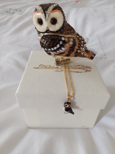 Hidden treasures tawny - hidden,