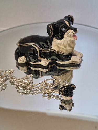 Trinket pill bix collie - trinket,